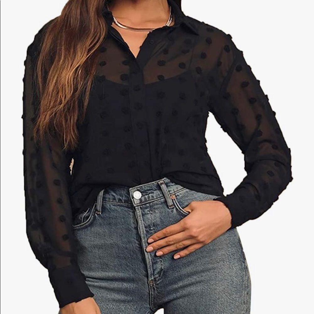 Black sheer long sleeve button down chiffon blouse.